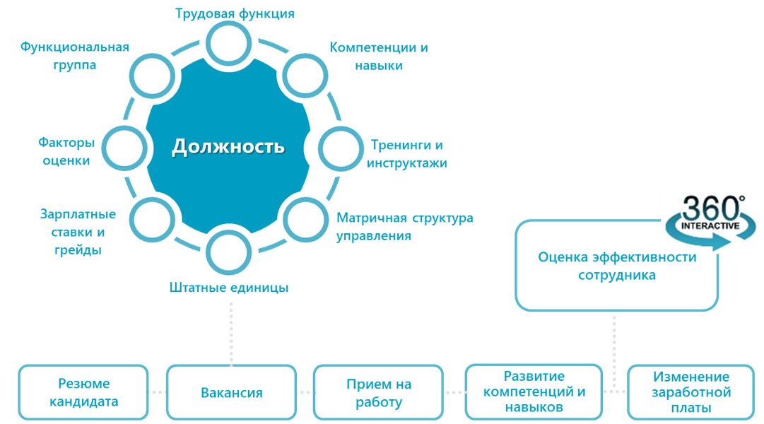 Цифровизация человеческого капитала. Цифровые инструменты управления в организации. Система управления человеческим капиталом. Развитие функционала. Цифровизация рынка труда.